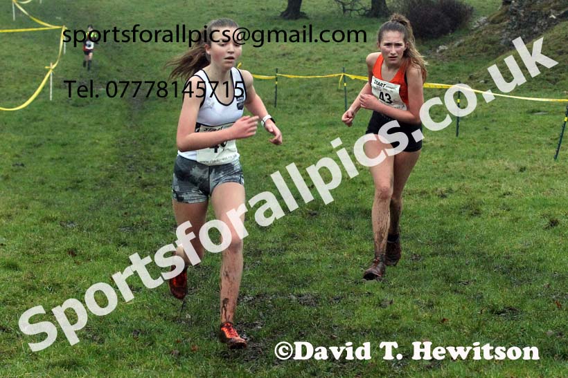 Girls under-15s, NECAA Junior Cross Country Relays, Thornley Farm, Peterlee, Saturday, December 12th. Photo: David T. Hewitson/Sports for All Pics
